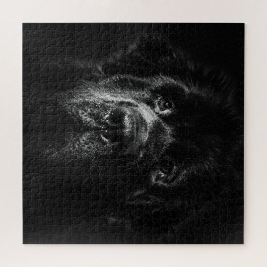 Jigsaw-Puzzle Puzzle (Horizontal)