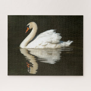 Jigsaw Puzzle von Mute Swan Bird Pond Wildlife Ani