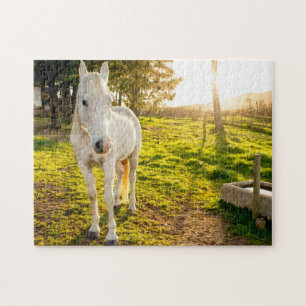 Jigsaw Puzzle von White Arabian