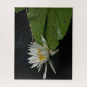Jigsaw Puzzle, Wasserlilie Puzzle (Vertikal)