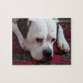 Jigsaw Puzzle: White Boxer Dog Puzzle (Horizontal)