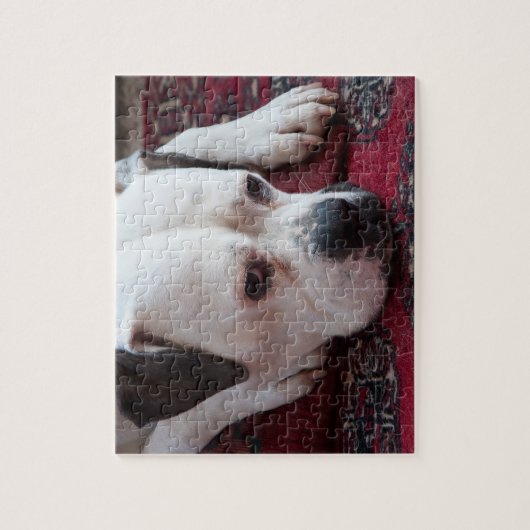 Jigsaw Puzzle: White Boxer Dog Puzzle (Vertikal)