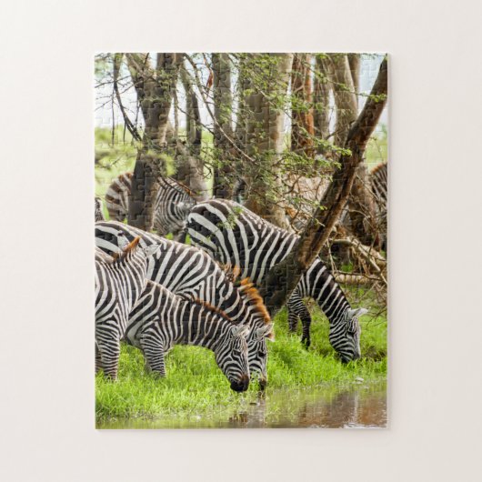 Jigsaw puzzle Zebras am Fluss (Vertikal)