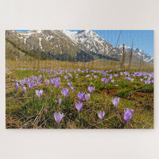 Jigsaws Crocuses Abruzzo Gran Sasso Italien. Puzzle (Horizontal)