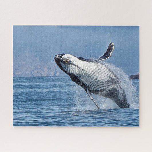 Jigsaws Humpback Whales. Puzzle (Horizontal)