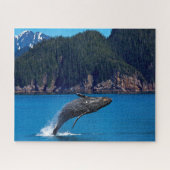 Jigsaws Humpback Whales. Puzzle (Horizontal)