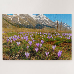 Jigsaws Krokusse Abruzzo Gran Sasso Italien. Puzzle