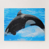 Jigsaws Orcas oder Killer Whales Puzzle (Horizontal)