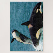Jigsaws Orcas oder Killer Whales Puzzle (Vertikal)