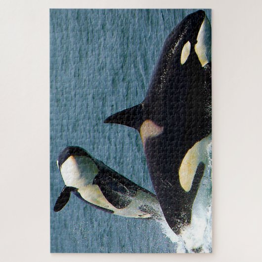 Jigsaws Orcas oder Killer Whales Puzzle (Vertikal)