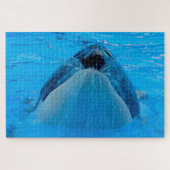 Jigsaws Orcas oder Killer Whales Puzzle (Horizontal)