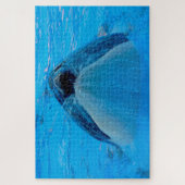 Jigsaws Orcas oder Killer Whales Puzzle (Vertikal)