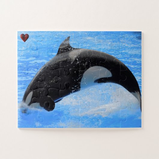 Jigsaws Orcas oder Killer Whales Puzzle (Horizontal)