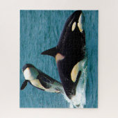 Jigsaws Orcas oder Killer Whales Puzzle (Vertikal)