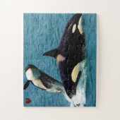 Jigsaws Orcas oder Killer Whales Puzzle (Vertikal)