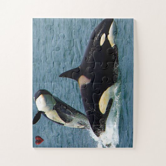 Jigsaws Orcas oder Killer Whales Puzzle (Vertikal)