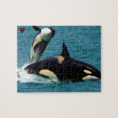 Jigsaws Orcas oder Killer Whales Puzzle (Horizontal)