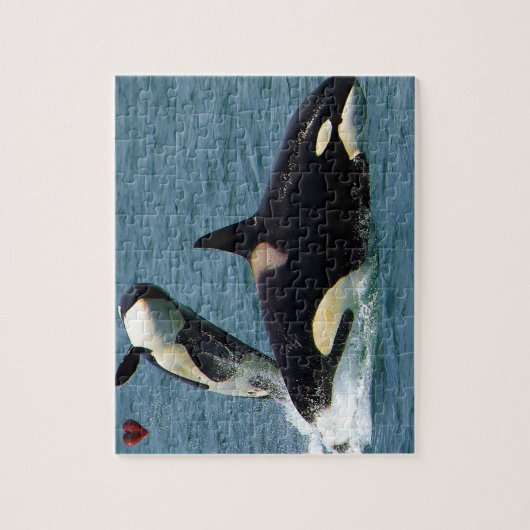 Jigsaws Orcas oder Killer Whales Puzzle (Vertikal)