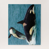 Jigsaws Orcas oder Killer Whales Puzzle (Vertikal)