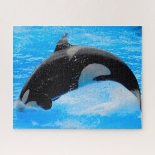 Jigsaws Orcas oder Killer Whales Puzzle