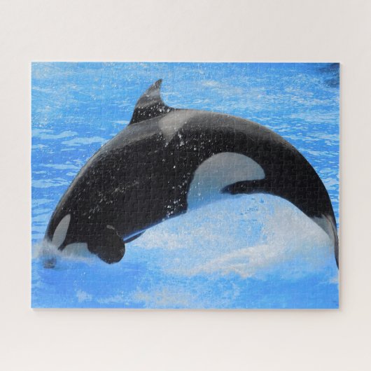 Jigsaws Orcas oder Killer Whales Puzzle (Horizontal)