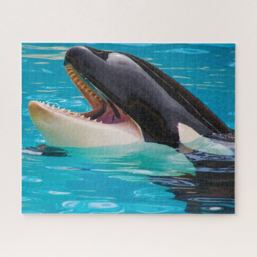 Jigsaws Orcas oder Killer Whales Puzzle (Horizontal)