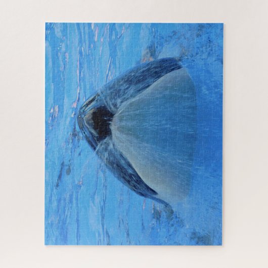 Jigsaws Orcas oder Killer Whales Puzzle (Vertikal)