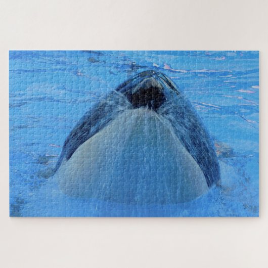 Jigsaws Orcas oder Schwertwale Jigsaw Puzzle (Horizontal)