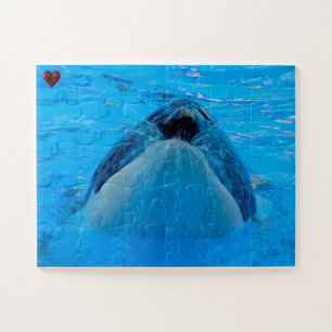 Jigsaws Orcas oder Schwertwale Puzzle