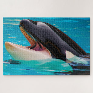 Jigsaws Orcas oder Schwertwale Puzzle