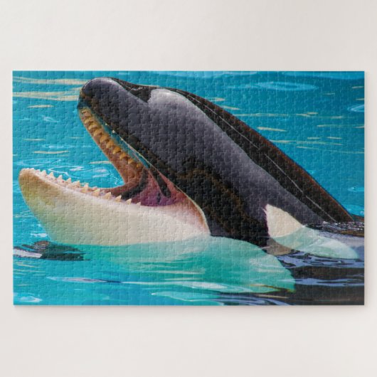 Jigsaws Orcas oder Schwertwale Puzzle (Horizontal)