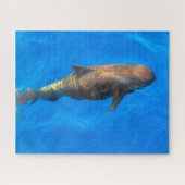 Jigsaws Pilot Whales Puzzle (Horizontal)