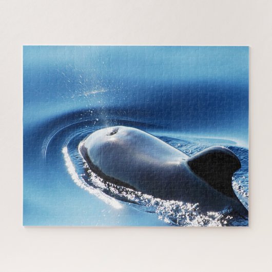 Jigsaws Pilot Whales Puzzle (Horizontal)