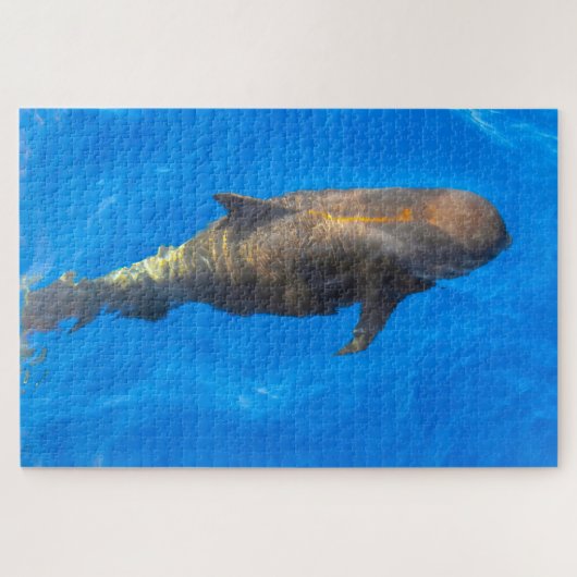 Jigsaws Pilot Whales Puzzle (Horizontal)