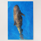 Jigsaws Pilot Whales Puzzle (Vertikal)