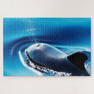 Jigsaws Pilot Whales Puzzle