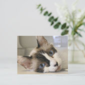 Jillie Postkarte (Stehend Vorderseite)