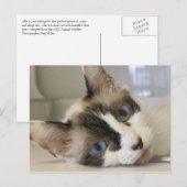 Jillie Postkarte (Vorne/Hinten)