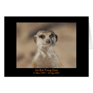 Jim-Bob - Legenden-Karte