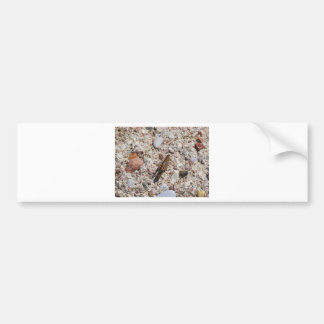 Jiminy Kricket Autoaufkleber