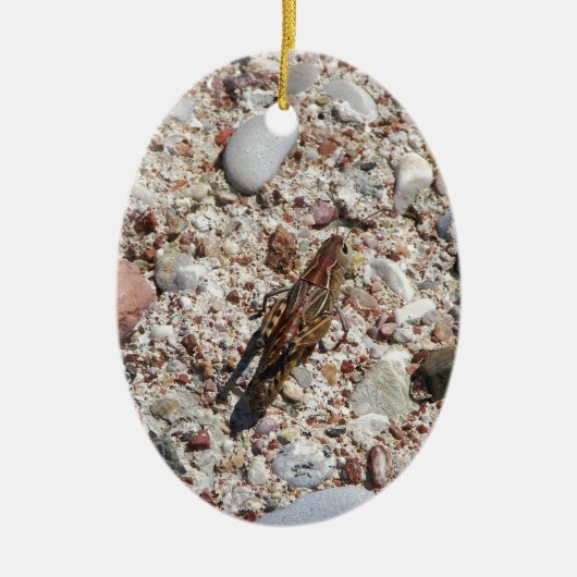 Jiminy Kricket Keramik Ornament (Vorne)