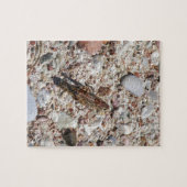 Jiminy Kricket Puzzle (Horizontal)