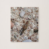 Jiminy Kricket Puzzle (Vertikal)