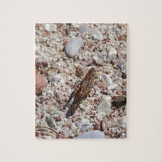 Jiminy Kricket Puzzle (Vertikal)