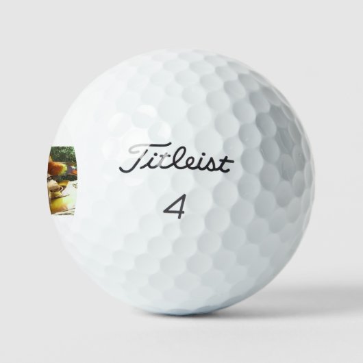 Jimmy Buffett Golf Balls Golfball (Logo)