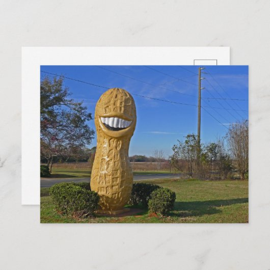 Jimmy Carter Smiling Peanut - Plains GA Postkarte (Vorne/Hinten)