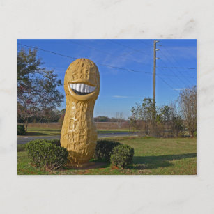 Jimmy Carter Smiling Peanut - Plains GA Postkarte