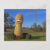 Jimmy Carter Smiling Peanut - Plains GA Postkarte (Vorderseite)