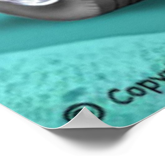 Jimmy's Poster (Ecke)