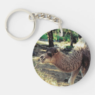 Jingle Baba und Jelly Baba Schlüsselanhänger